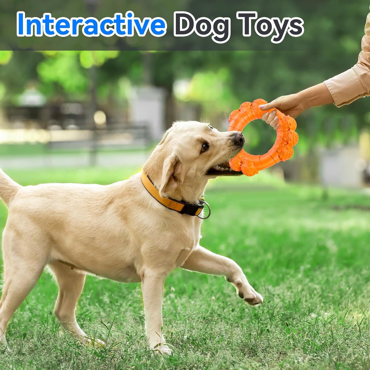 Durable Chew Ring Toys for Aggressive Dogs, Ideal for Super Chewers