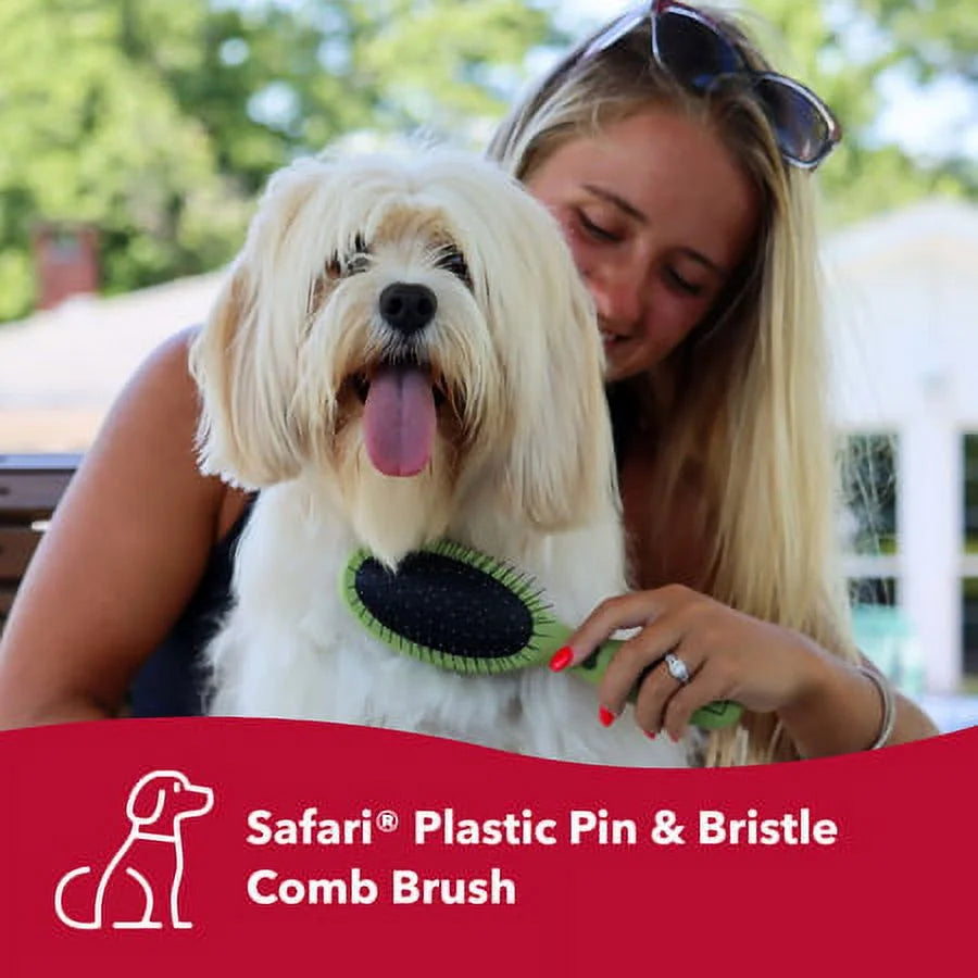 Safari Large Dog Pin and Bristle Brush Combo