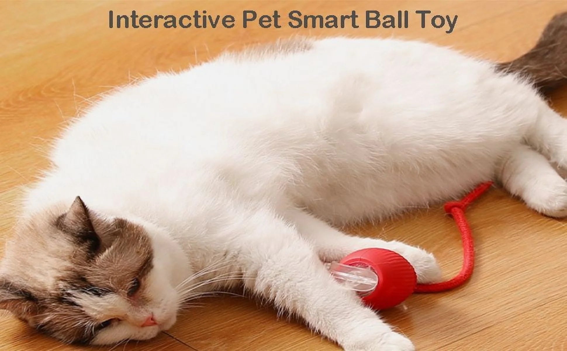 Upgraded Interactive Cat Toy Ball - Smart Self-Rolling Automatic Pet Ball for Indoor Cats and Kittens