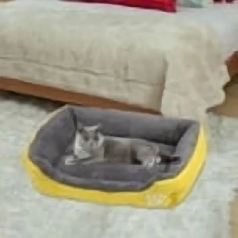 Rectangular Washable Pet Bed with Soft Plush Fleece for Dogs and Cats, Anti-Slip Waterproof Base, Ideal for Small Pets