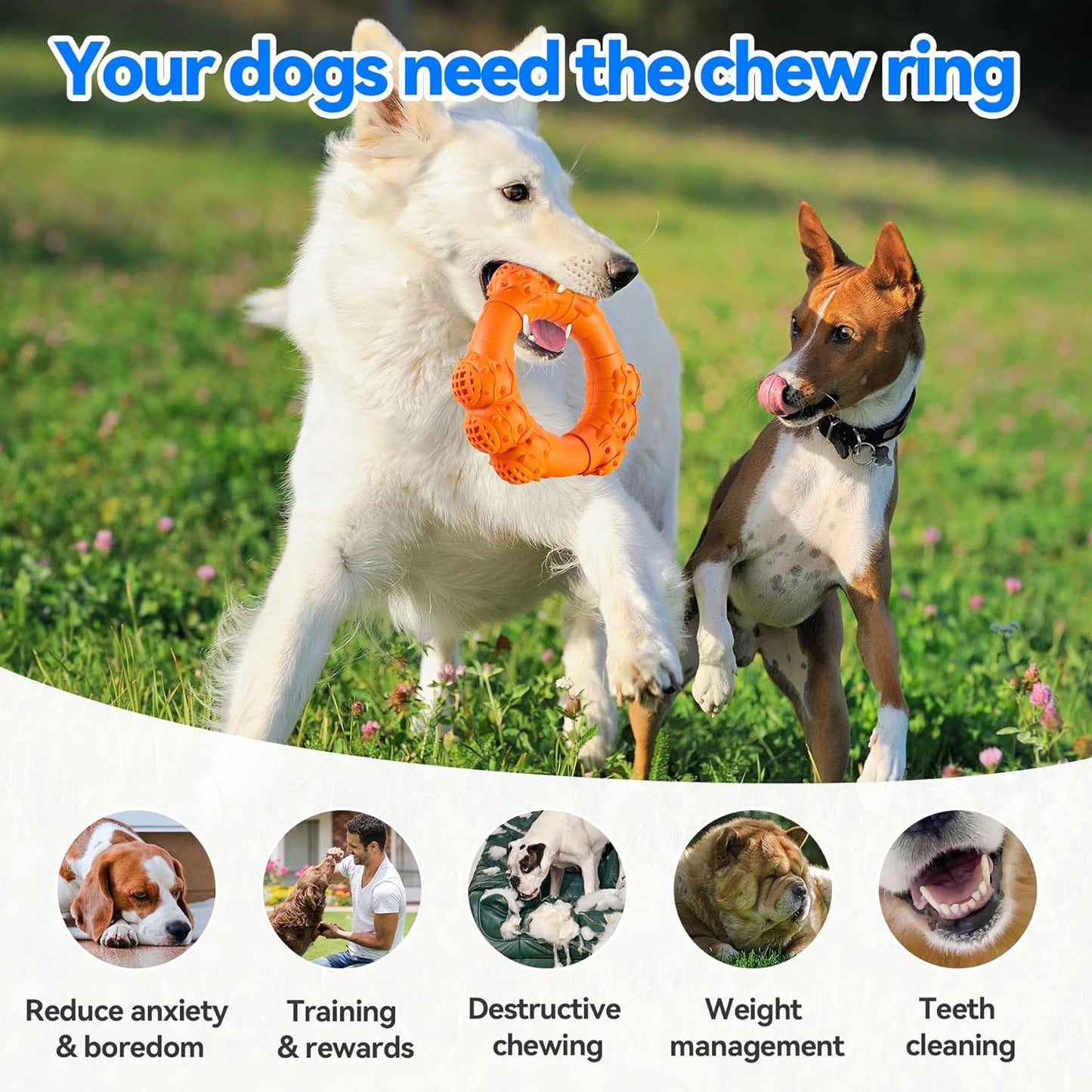 Durable Chew Ring Toys for Aggressive Dogs, Ideal for Super Chewers