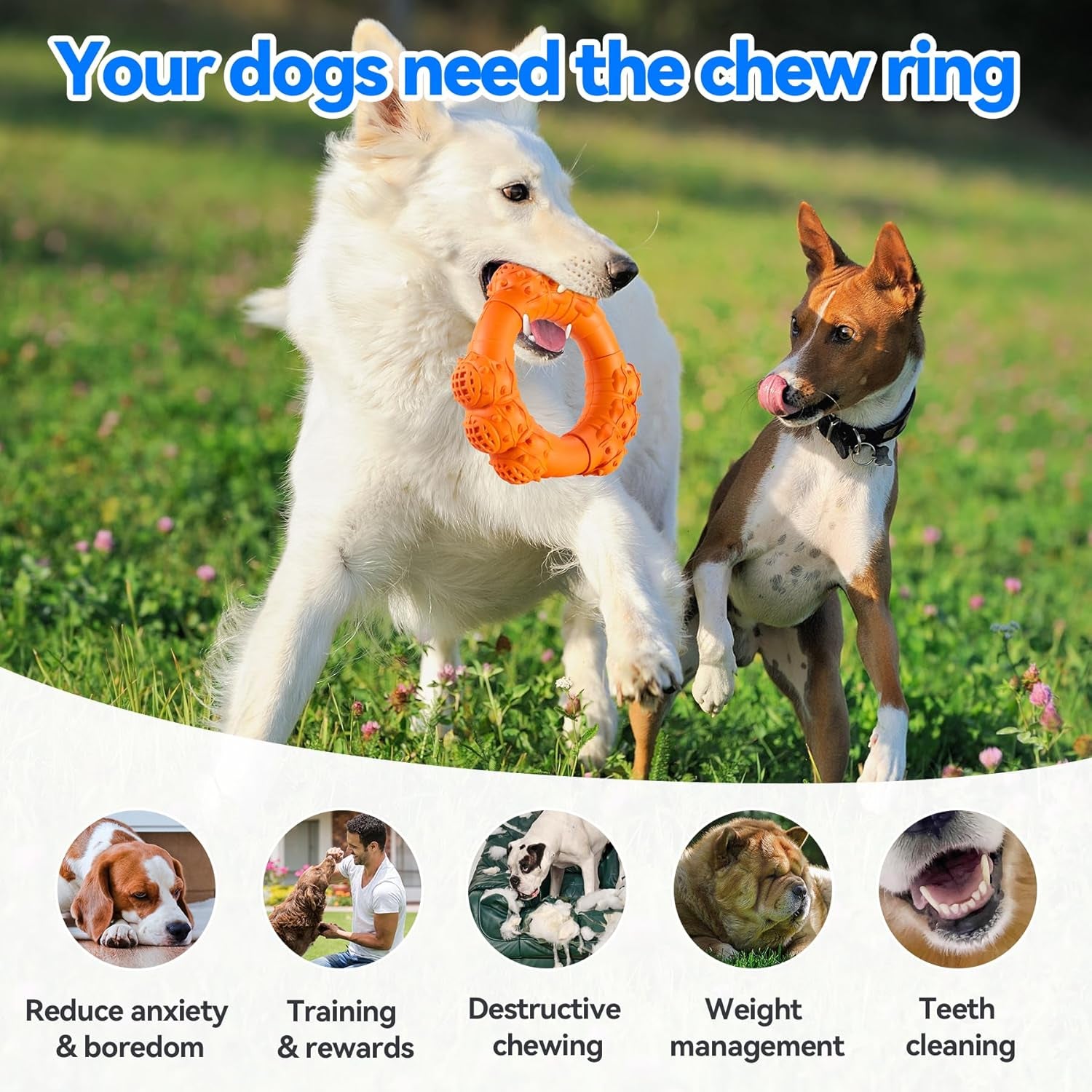 Durable Chew Ring Toys for Aggressive Dogs, Ideal for Super Chewers