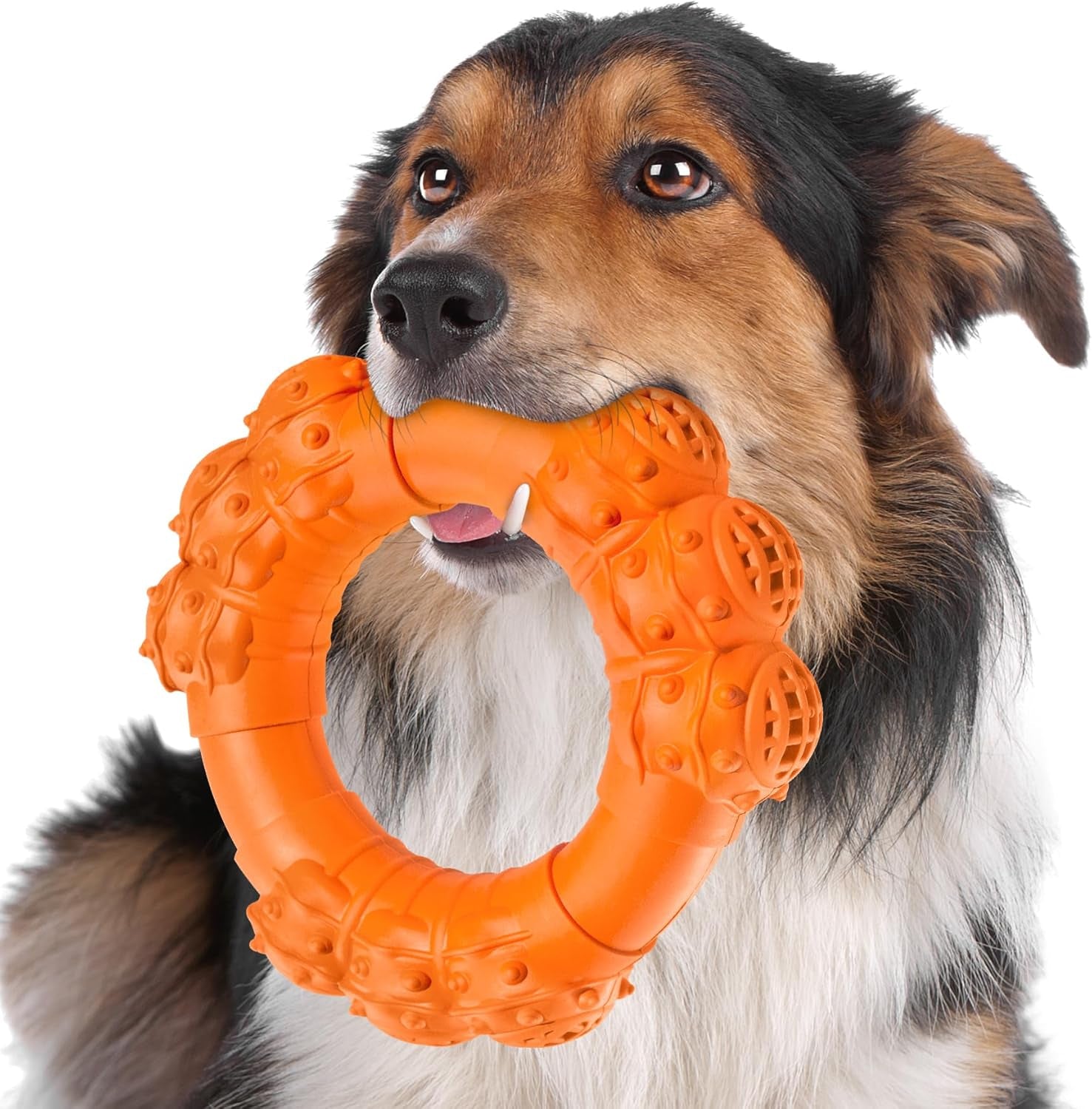 Durable Chew Ring Toys for Aggressive Dogs, Ideal for Super Chewers