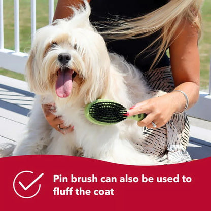 Safari Large Dog Pin and Bristle Brush Combo